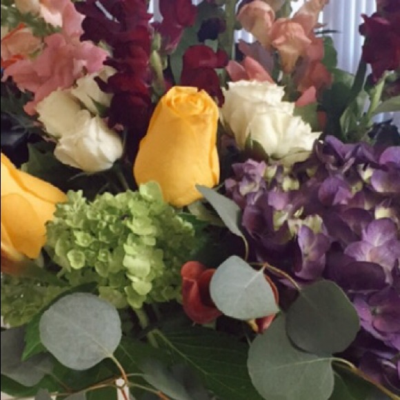 Meet your Posher, Rach - Picture 1 of 1